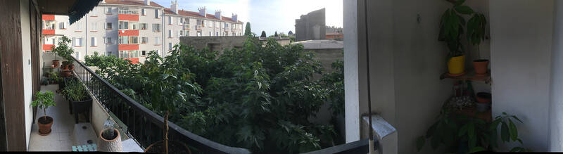 Marseille 4E (13004)