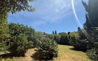 Cannes (06150)