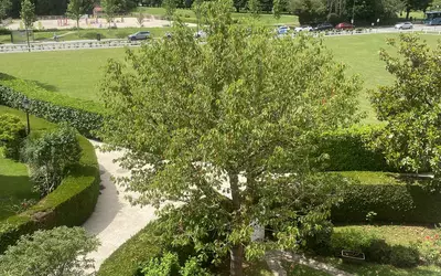 Le Chesnay-Rocquencourt (78150)