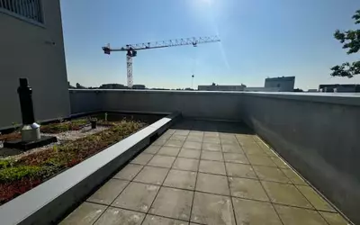 Lille (59000)