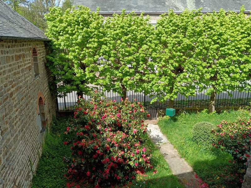 Saint-Berthevin-La-Tannière (53220)