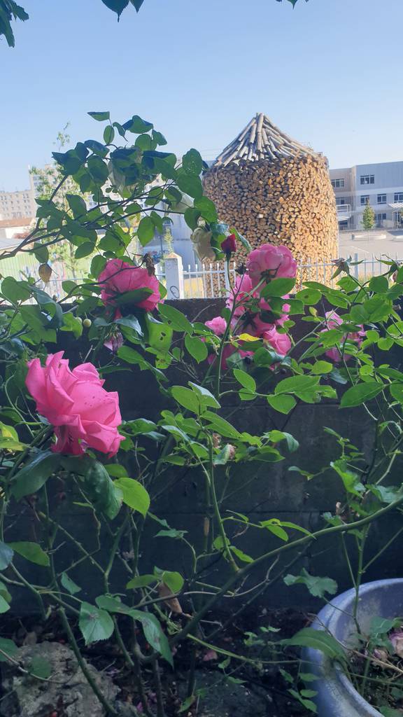 Montreuil - Avec Jardin