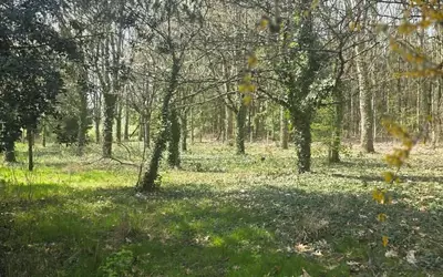 Yvré-Le-Pôlin (72330)