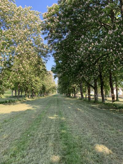 Vente maison 11 pièces Chaumont-sur-Loire (41150)