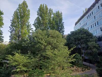 Location appartement studio Paris 13e