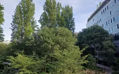 Paris 13E (75013)
