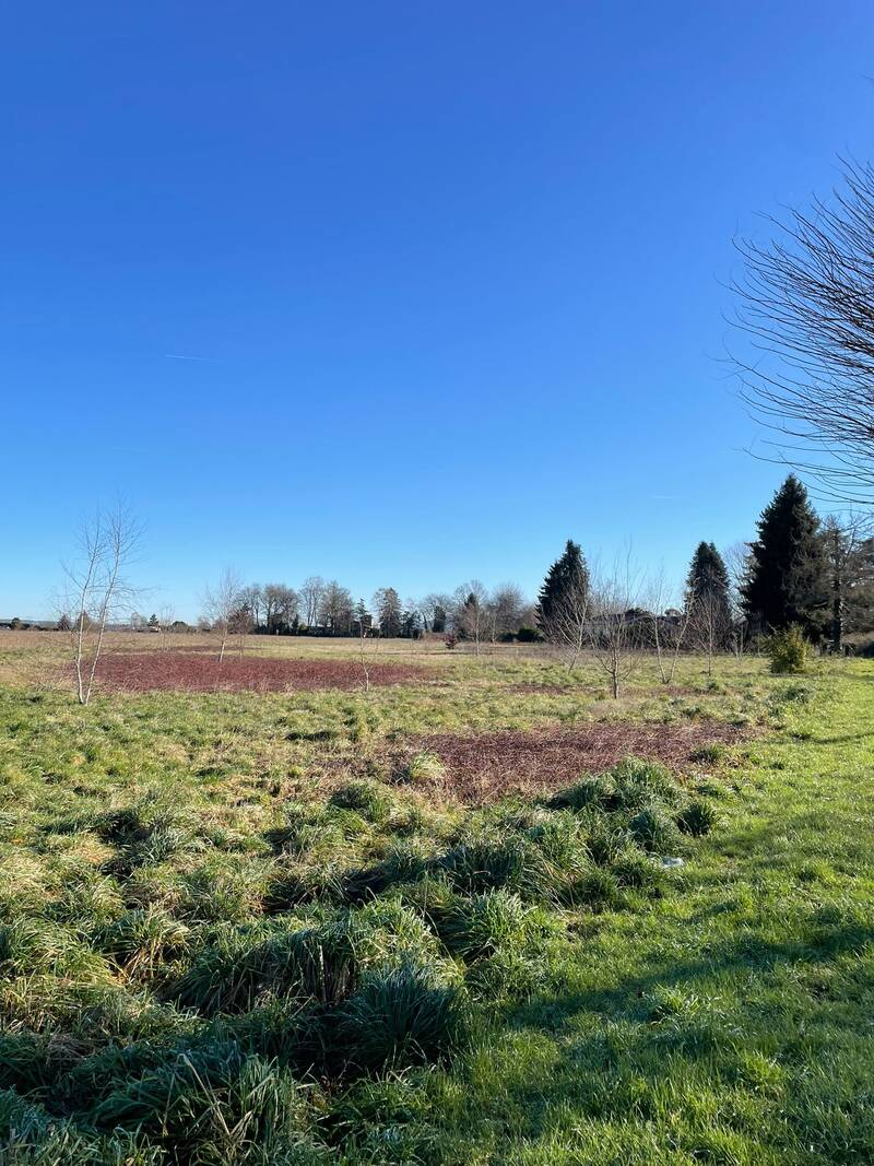 Pointis-De-Rivière (31210)