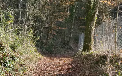 , A 2 Pas Du Lac Du Bourget, Chindrieux (73310)