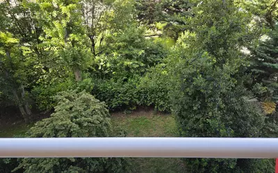 Vanves (92170)