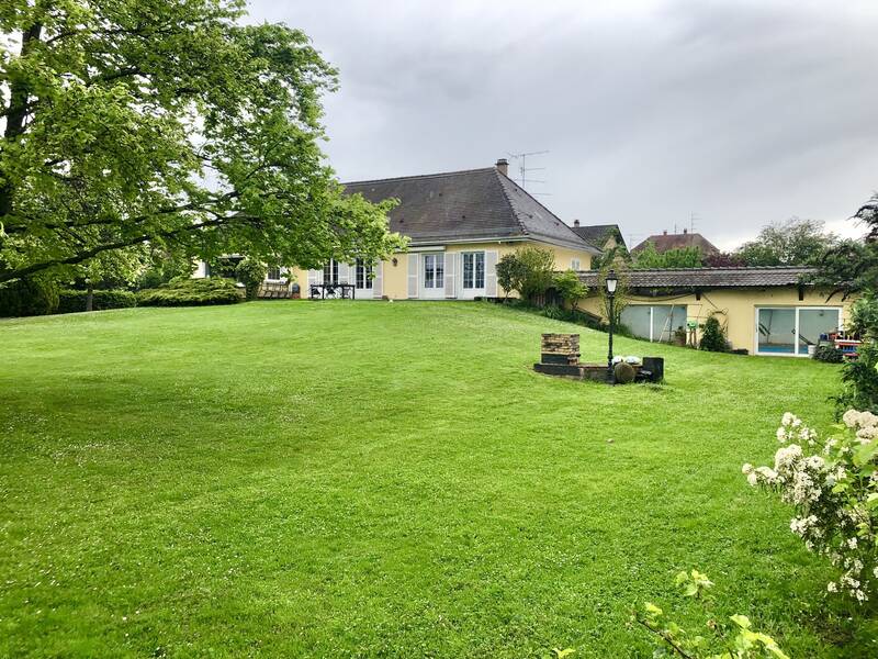 Sélestat (67600)