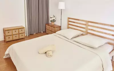 Nice (06000)