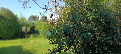 Vente maison 5 pièces Montélimar (26200)