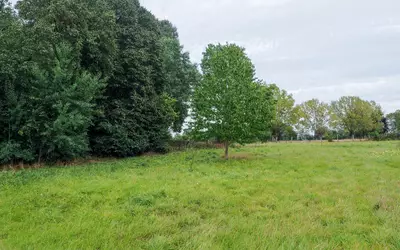 La Ferté-Frênel (61550)