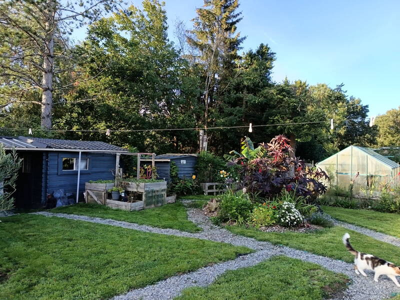 Quartier Burin À Saint-Dolay (56130)