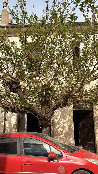 Vente maison 4 pièces Cavaillon (84300)