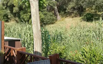 Fréjus (83600)