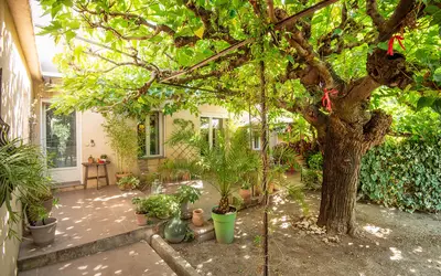 Avignon (84000)