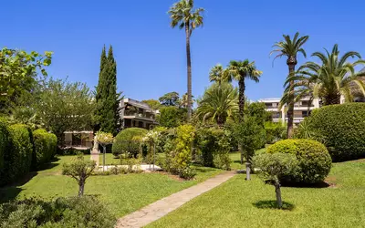 Cannes (06150)