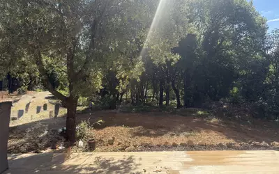 Montpellier