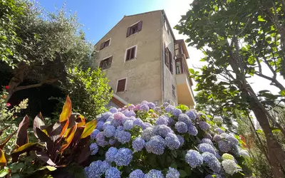 Sartène (20100)