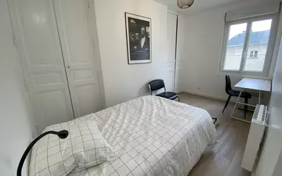Angers (49000)