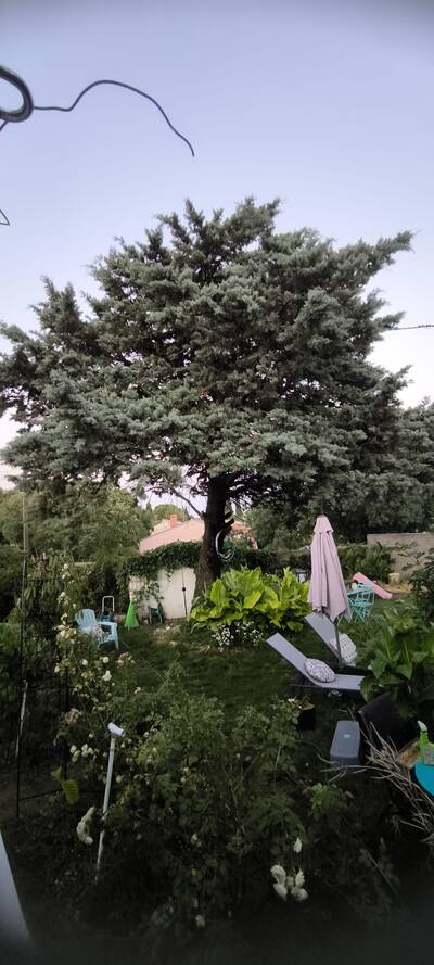 Vente maison 5 pièces Sussargues (34160)