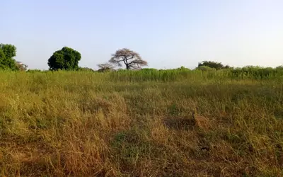 Sénégal