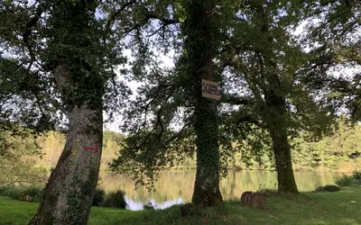 Mortemart (87330)