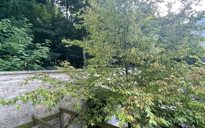 Pontoise (95000)