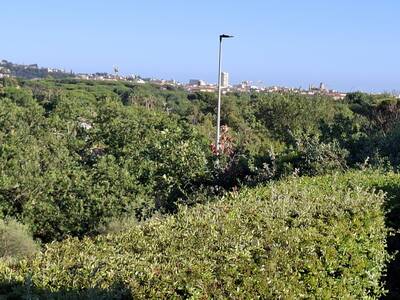 Vente maison 4 pièces Fréjus (83)
