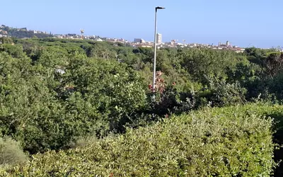 Fréjus (83600)