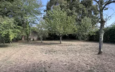 Saint-Paul-Lès-Dax (40990)