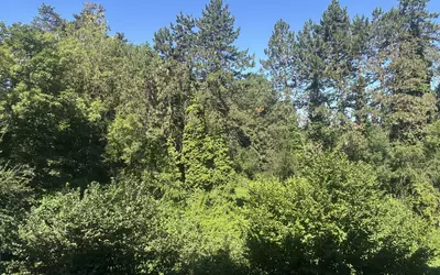 Montalieu-Vercieu (38390)