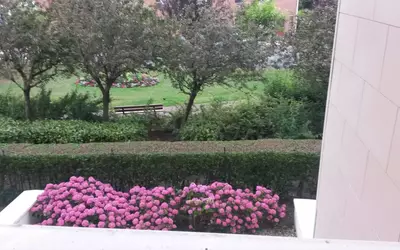 La Madeleine (59110)
