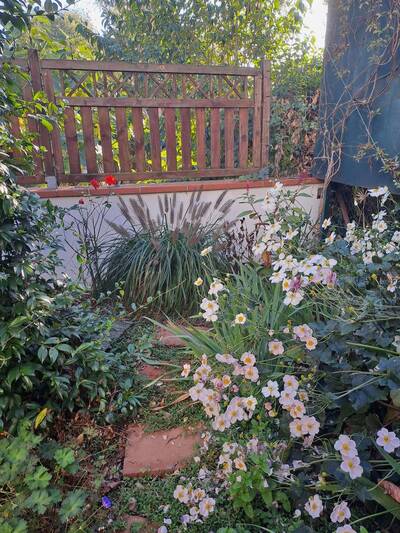 Location appartement 2 pièces Toulouse (31)