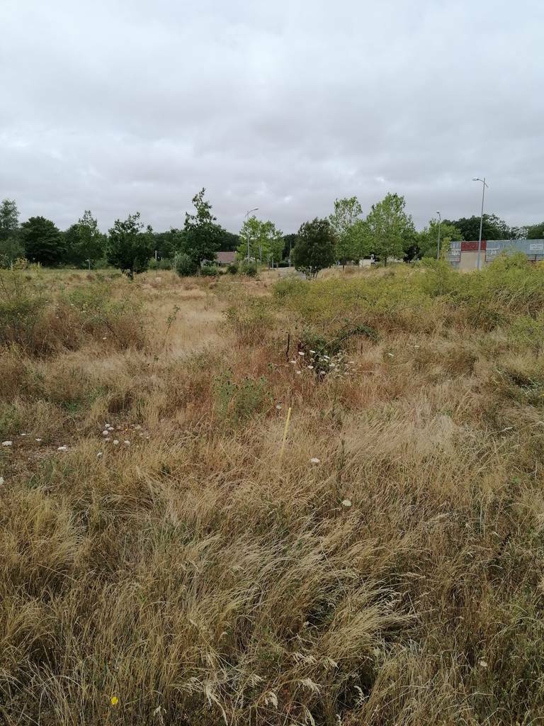 Vernouillet (28500)