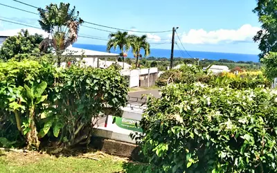 Capesterre-Belle-Eau (97130)