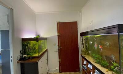 Vente appartement 4 pièces Vitry-sur-Seine (94400)