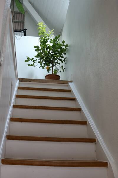 Vente maison 8 pièces La Roche-sur-Foron (74800)