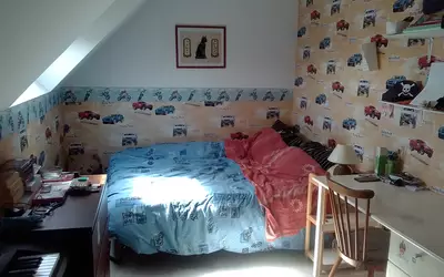 Saintry-Sur-Seine (91250)