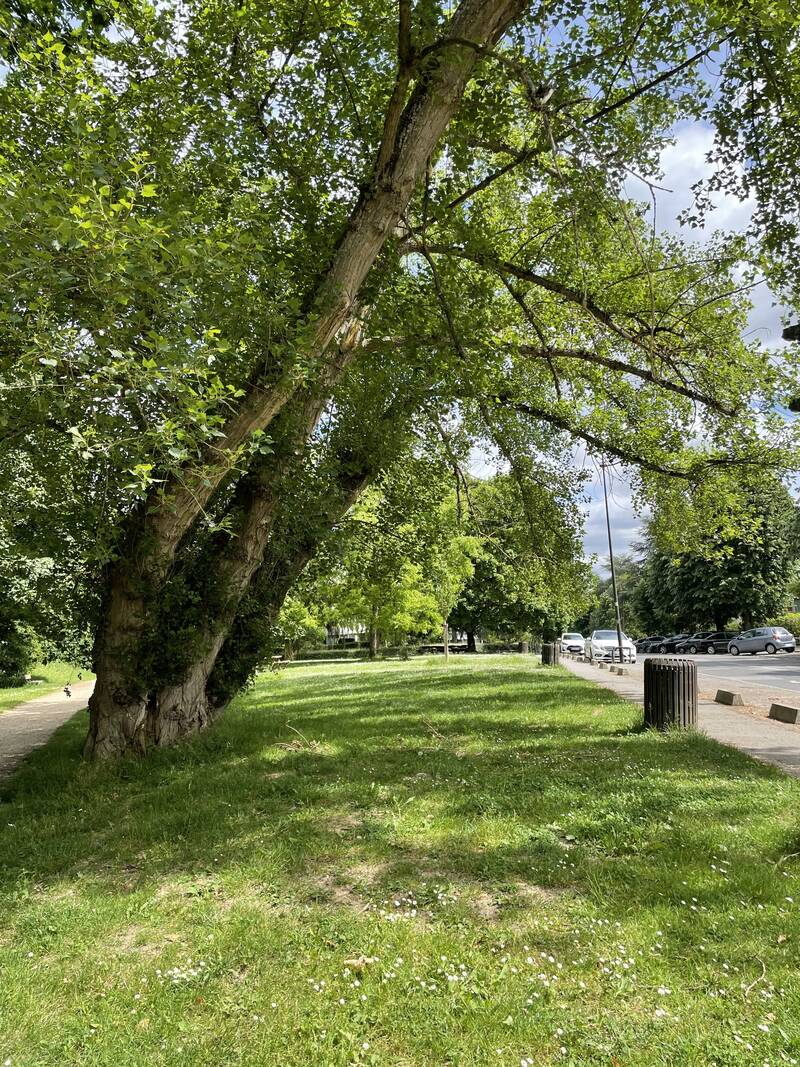 Le Chesnay-Rocquencourt (78150)