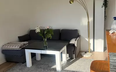 Villeurbanne (69100)