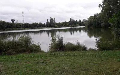 Toulouse (31000)