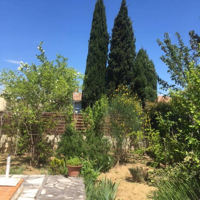Montpellier (34000)