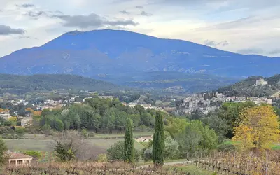 Vaison-La-Romaine (84110)