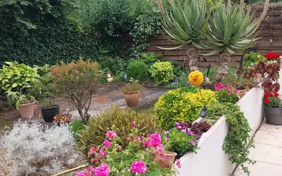 Fréjus (83600)