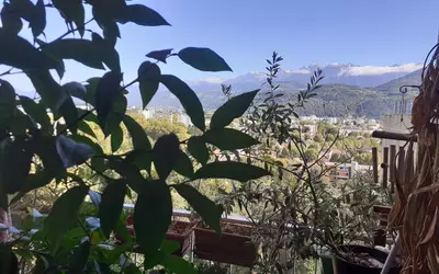Grenoble (38000)