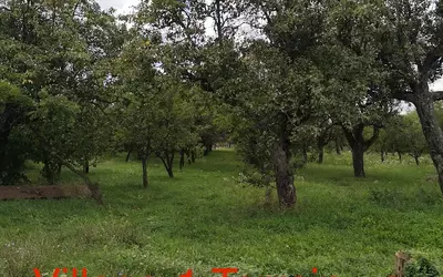 Roumanie