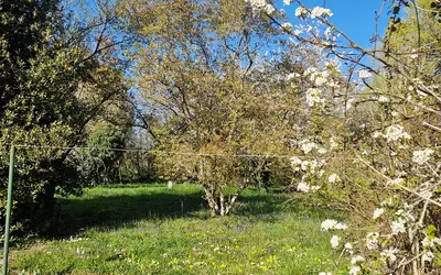 Saint-Germain-Du-Bois (71330)