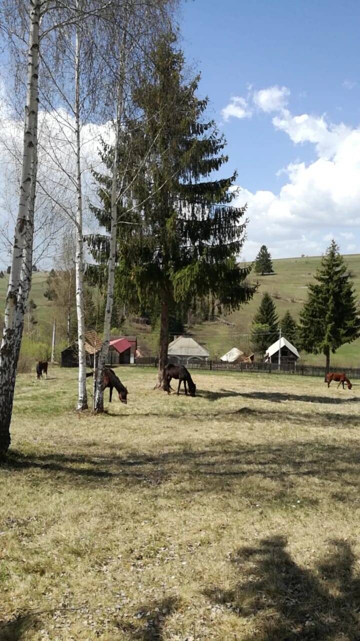 Roumanie